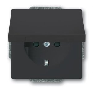 Busch-Jäger SCHUKO® Steckdosen-Einsat 20EUKB-81, 2CKA002018A1517