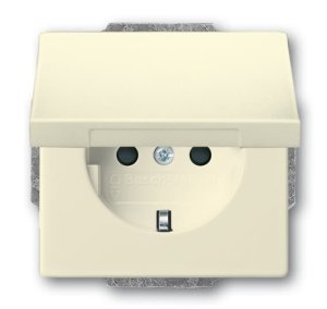 Busch-Jäger SCHUKO® Steckdosen-Einsat 20EUKB-82, 2CKA002018A1518