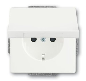 Busch-Jäger SCHUKO-Steckdosen-Einsa 20EUKBR-884, 2CKA002018A1530