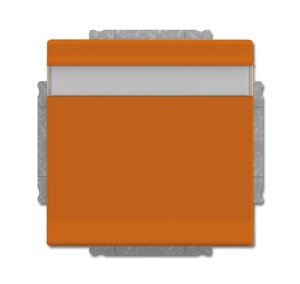 Busch-Jäger SCHUKO® Steckdosen-Ei 20EUKNB-14-82, 2CKA002018A1535