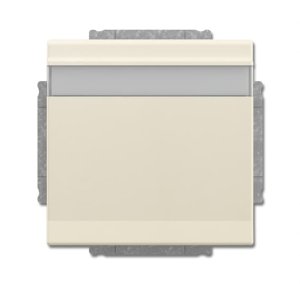Busch-Jäger SCHUKO® Steckdosen-Einsa 20EUKNB-82, 2CKA002018A1538
