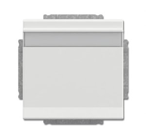Busch-Jäger SCHUKO Steckd.m.Klappd. 20EUKNB-884