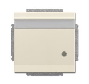 Busch-Jäger SCHUKO Steckd.m.Klappd. 20EUKNBL-82