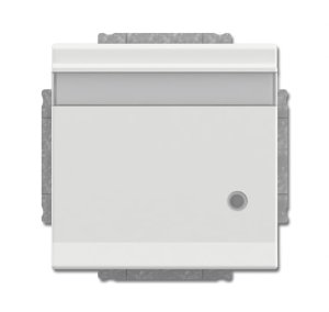 Busch-Jäger SCHUKO Steckd.m.Klappd 20EUKNBL-884