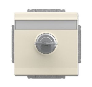 Busch-Jäger SCHUKO® Steckdosen 20EUKNBSL-82-101, 2CKA002018A1560