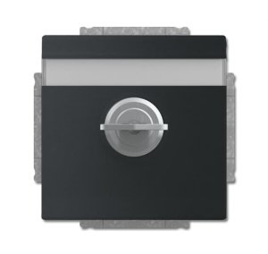 Busch-Jäger SCHUKO® Steckdosen-Ei 20EUKNBSL-885, 2CKA002018A1567