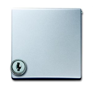 Busch-Jäger 2118 GKSL-33 Allwetter 44®, wassergeschützt (IP 44), Sonstiges, Zwischenring mit Klappdeckel, alusilber (1710-0-3789)