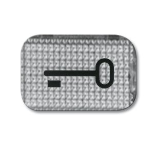 Busch-Jäger 2145 TR Zubehör, Tastersymbole, Tastersymbol Schlüssel, glasklar (1714-0-0237)