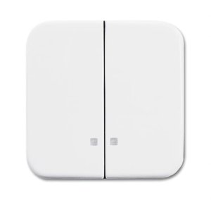 Busch-Jäger Wippe   2505K-214, 2CKA001731A3994