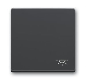 Busch-Jäger Wippe Licht  2520LI-81, 2CKA001751A3186