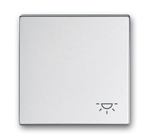 Busch-Jäger Wippe Licht  2520LI-83, 2CKA001751A3188