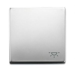 Busch-Jäger Wippe Licht  2520LI-866, 2CKA001751A3191