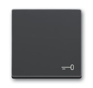 Busch-Jäger Wippe Schlüssel  2520TR-81, 2CKA001751A3196