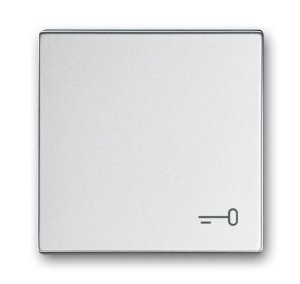 Busch-Jäger Wippe Schlüssel  2520TR-83, 2CKA001751A3198