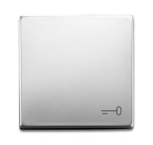 Busch-Jäger Wippe Schlüssel  2520TR-866, 2CKA001751A3200