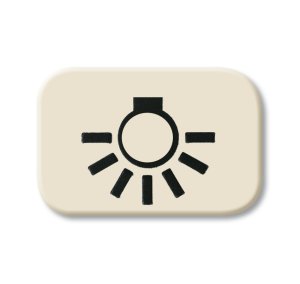 Busch-Jäger 2525 LI Busch-Duro 2000® SI, Zubehör, Tastersymbol Licht, weiß (1433-0-0424)