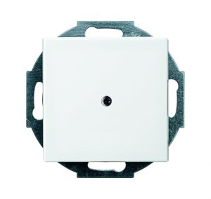 Busch-Jäger Zent.Sch.Leitungsausl 2527-914, 1710-0-4061