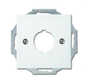 Busch-Jäger Zentralscheibe 19mm 2534-914, 1724-0-4343