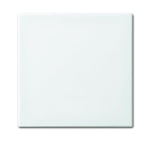 Busch-Jäger Wippe anschraubbar  2546-914, 1434-0-0662