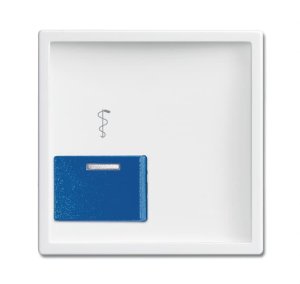 Busch-Jäger ZentSchAck RT Tbl 2548-022AR-84, 2CKA001724A4388