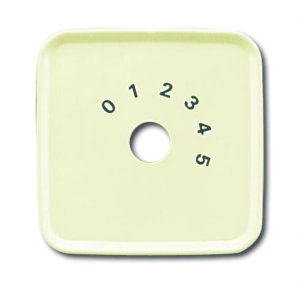 Busch-Jäger Zentrals. Lichtruf 2548-212-53A
