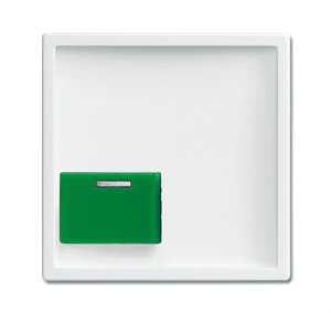 Busch-Jäger ZentSchAck A Tgr 2548-642C-84, 2CKA001724A4395