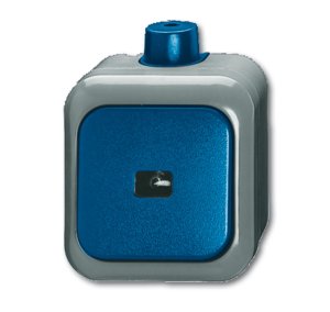 Busch-Jäger 2621 WDI Busch-Duro 2000® WDI (IP 66), Schalter/Taster, Wipptaster, (1483-0-0171)