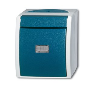 Busch-Jäger 2621 WGL-53 ocean® (IP 44), Schalter/Taster, Wipptaster mit Beleuchtung, grau/blaugrün (1484-0-0371)