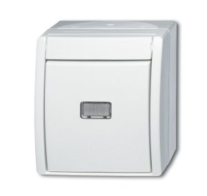 Busch-Jäger 2621 WGL-54 ocean® (IP 44), Schalter/Taster, Wipptaster mit Beleuchtung, alpinweiß (1484-0-0381)