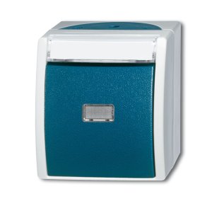 Busch-Jäger 2621 WN-53-201 ocean® (IP 44), Schalter/Taster, Wipptaster mit Beschriftungsfeld, grau/blaugrün (1484-0-0373)