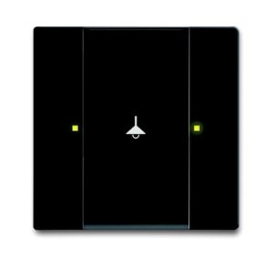 Busch-Jäger 6125/02-885 UP-Sensoren für KNX, UP-Sensoren future® linear, Tastsensor, 1/2-fach, Multifunktion, schwarz matt (6115-0-0204)