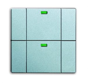 Busch-Jäger 6732-83 Busch-Funkcontrol, Bedienelemente future® linear, Wandsender WAVELINE 2-fach, alusilber (6730-0-0052)