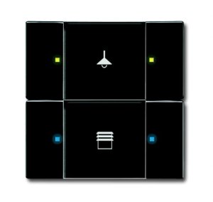 Busch-Jäger 6126/02-81 UP-Sensoren für KNX, UP-Sensoren future® linear, Tastsensor, 2/4-fach, Multifunktion, anthrazit (6116-0-0183)