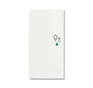 Busch-Jäger Wippe/L 2-fach, Dimmer 6234-21-884, 6220-0-0490