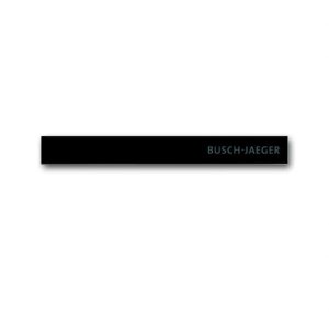 Busch-Jäger 6352-825-101 Busch-priOn® Sensoren, Abschlussleisten unten, Abschlussleiste unten Temperaturfühler mit Kennzeichnung, Glas schwarz (6310-0-0160)