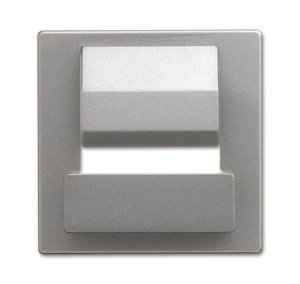 Busch-Jäger Zentralscheibe für Busch-p 6477-866, 2CKA006400A0064