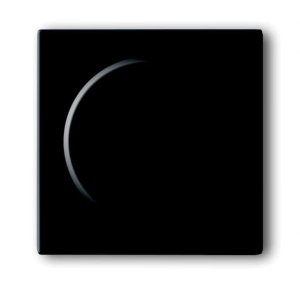 Busch-Jäger 6540-81-102 Busch-Dimmer®, Bedienelemente future® linear, Bedienelement für Drehdimmer, -102, anthrazit (6599-0-2950)