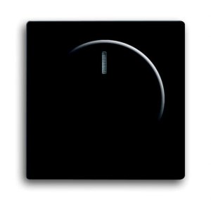 Busch-Jäger 6540-885-102 Busch-Dimmer®, Bedienelemente future® linear, Bedienelement für Drehdimmer, -102, schwarz matt (6599-0-2966)