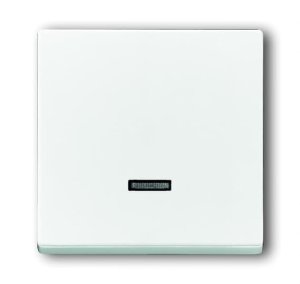 Busch-Jäger 6543-84-101 Busch-Dimmer®, Bedienelemente future® linear, Bedienelement für Busch-Memory-Taststeuergerät, studioweiß (6599-0-2834)