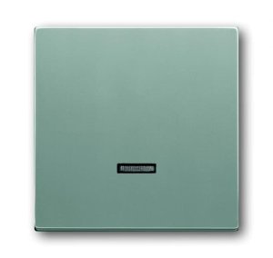 Busch-Jäger 6543-83-101 Busch-Dimmer®, Bedienelemente future® linear, Bedienelement für Busch-Memory-Taststeuergerät, alusilber (6599-0-2887)