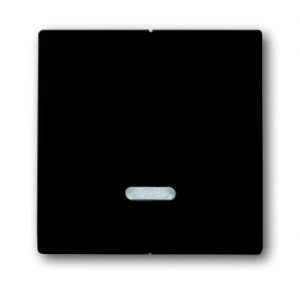 Busch-Jäger 6545-81 Busch-Dimmer®, Bedienelemente carat®, Bedienelement für Seriendimmer, anthrazit (6599-0-2906)