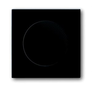 Busch-Jäger 8253-81 AudioWorld, Zentralscheibe für Einbau-Lautsprecher, Zentralscheibe für Einbau-Lautsprecher carat®, anthrazit (8200-0-0078)