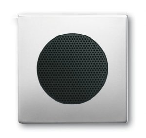 Busch-Jäger 8253-866 AudioWorld, Zentralscheibe für Einbau-Lautsprecher, Zentralscheibe für Einbau-Lautsprecher, pur edelstahl, edelstahl (8200-0-0087)