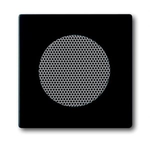 Busch-Jäger 8253-885 AudioWorld, Zentralscheibe für Einbau-Lautsprecher, Zentralscheibe für Einbau-Lautsprecher, future® linear, schwarz matt (8200-0-0126)