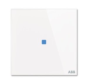 Busch-Jäger Bedienelement 1f., TB/U1.1.1-CG