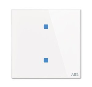 Busch-Jäger Bedienelement 2f., TB/U2.4.1-CG