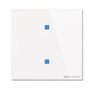 Busch-Jäger Bedienelement 2f., TB/U2.4.11-CG