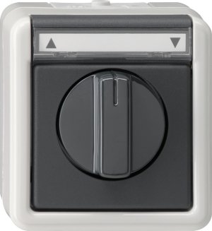 Gira 015430 SchalterTaster Jalousie 1pol WG Aufputz Grau