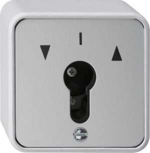 Gira 016330 Schluesseltaster Wechsler WG Aufputz Grau