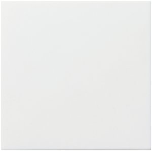 Gira 022527 Abdeckung Ackermann 72642 C / 72639 A System 55 Reinweiss matt